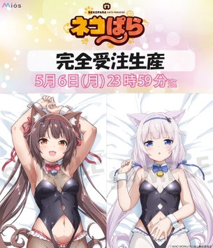 【朗報】世界で1番売れた日本のギャルゲー、エチエチ抱き枕カバーを発売する