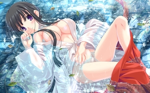 【二次元】可愛い巫女さんのエロ画像 Part.14 50枚