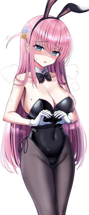 バニーガールの二次エロ画像で！