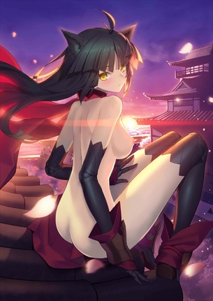 ニーソの画像下さい！