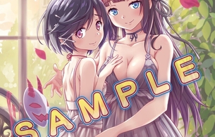 スイッチ版『ぎゃる☆がん だぶるぴーす』エロいスケスケで下着丸見えの店舗特典イラスト