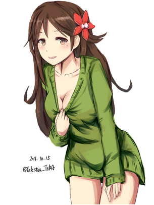 【画像あり】天城の衝撃画像が流出！？(艦隊これくしょん)