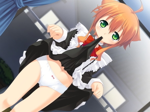 見てほしいなら言ってくれれば・・・洋服をたくし上げておっぱいとかパンツとかいろいろ見せてくれてるビッチ少女の二次元エロ画像