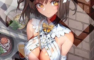 スイッチ『食用系少女2 美食内戦』女の子のおっぱいが丸出しのエロ店舗特典イラストなど