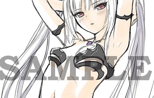 『シャイニング・レゾナンス リフレイン』女の子たちのエロすぎる水着の店舗特典ラフイラスト