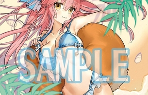 『フェイト/エクステラ リンク』店舗特典にエロ衣装DLCや水着やおっぱいなどエロイラスト！