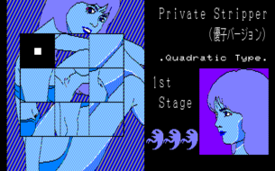 【画像】昔のオタクってこういうゲームでシコってたの…？