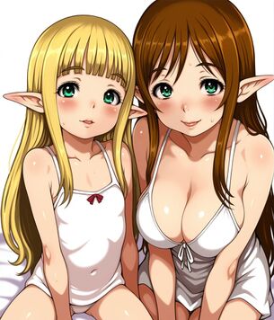 【エルフ】絶対保護種の美しすぎなエルフ女の画像まとめ　その25【二次画像】