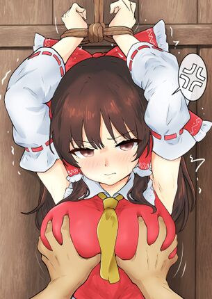 【東方Project】博麗霊夢 のえち画像✿ ③