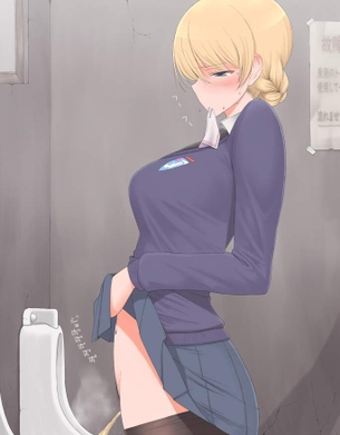 トイレの二次エロ画像を愛でる。