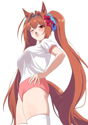 体操服・ブルマの二次画像がヌけすぎてこまる件について