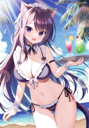 ビキニのエロ画像集めてみたよ！ 20枚