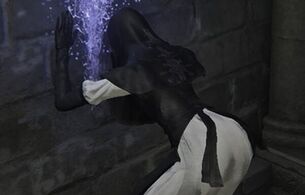 『エルデンリング ナイトレイン』DLCの新キャラがお尻を突き出して発情シーン！パンチラなど