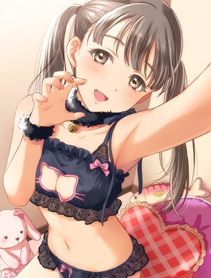 萌え萌えぷりてぃなねこランジェリー女子！　その２