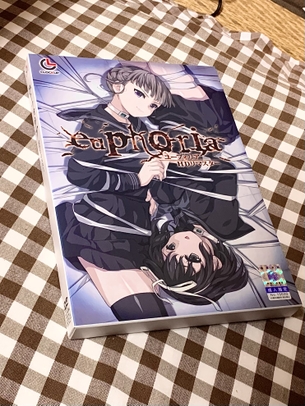 人生初のエロゲ買ってみた！！！！