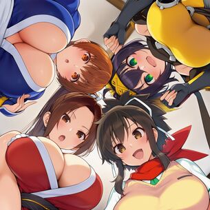 【画像】アニメやゲームの「くノ一」キャラ、エロすぎて忍べてないやつばかり