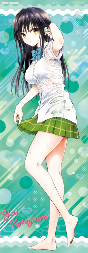 【ToLoveる】ヒロインたちのエロ画像 第255弾目