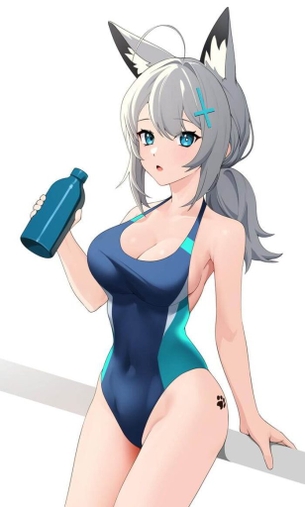 【ブルーアーカイブ】砂狼シロコの可愛いＨな二次エロ画像
