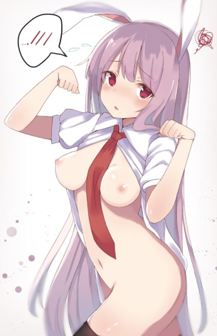 【東方Project】鈴仙・優曇華院・イナバの萌え・可愛い二次エロ画像まとめ