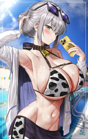 【二次元】ビキニ美女達のエロ画像 Part.24 50枚 Bikini