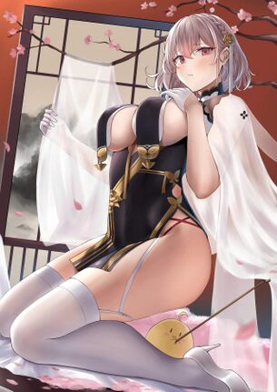 【二次元】チャイナドレス姿の美少女達のエロ画像 Par.24 50枚 スリット 美脚