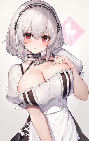 【二次元】銀髪・白髪・灰髪美少女のエロ画像 Part.24 50枚