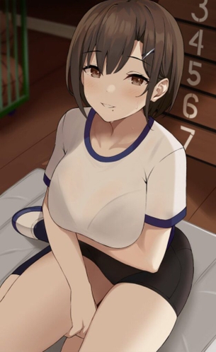 体操服・ブルマがエロくてたまんないので画像を収集してきた