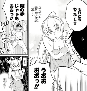 「ナリユキまかせの天狗道」