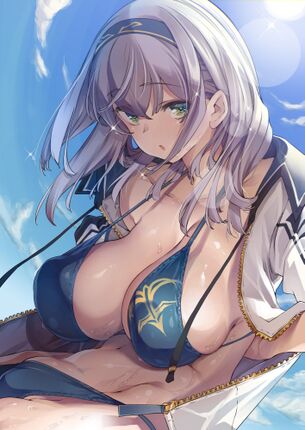 【二次】白銀ノエルの可愛すぎる画像を集めてみたｗｗｗ