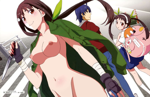 化物語の剥ぎコラ