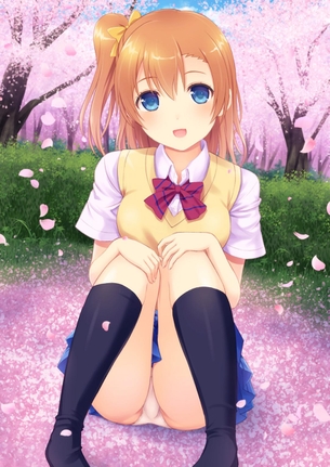 ラブライブ！のえっちな画像が貼られていくスレ