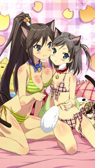 【二次】公式のエロ画像というかこうピンナップ絵とかそういう画像ください！ その2