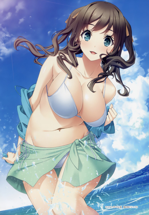 【二次】出不精でもわざわざビーチにまで見に行きたいビキニを着た美女のエロ画像