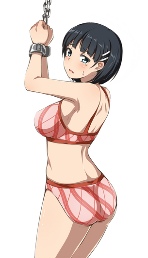 【2次】「ソードアート・オンライン」の桐ヶ谷直葉ちゃんの可愛いエロ画像その2
