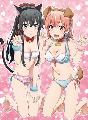 【俺ガイル】やはり俺の青春ラブコメはまちがっているの剥ぎコラやエロ画像 その76