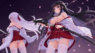 巫女のエロ可愛い画像貼っていくぜ！