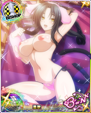 【ハイスクールD×D】 ハイスクールディーディーの剥ぎコラ その151