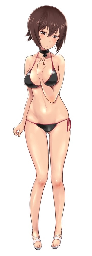 ガールズ&パンツァーの抜けるエロ画像ください！