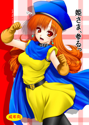 ドラゴンクエストの二次元エロ画像。