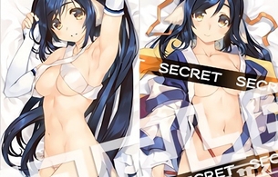 『うたわれるもの』女の子のほぼ丸出しのエロすぎ抱きまくらや水着姿のタペストリー！