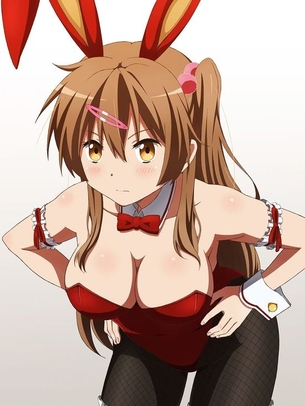 バニーガールな女の子の二次エロ画像 その8