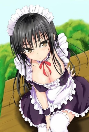Hなメイドさんにご奉仕されたい二次エロ画像 その5