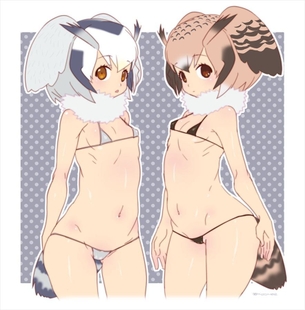 けものフレンズの二次エロ画像で抜きたい！