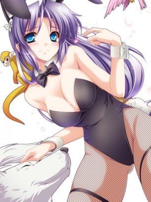 バニーガールの画像倉庫がここです！