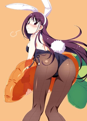 バニーガールのエロ画像で抜きたくなったから貼ってくよ