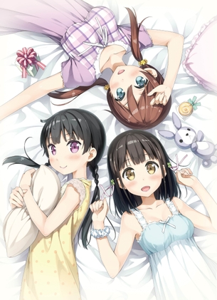 【2次】よりどりみどりな美少女 ハーレム 二次エロ画像 その18【ハーレム】