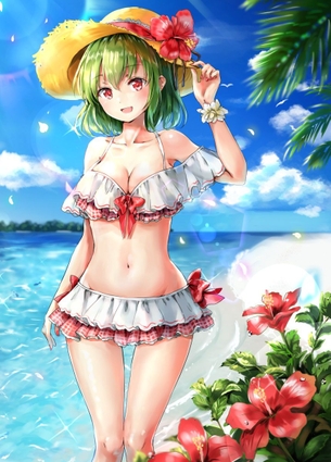 東方画像色々 その299 50枚