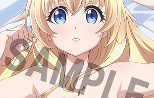 アニメ『ゴブリンスレイヤー』とらのあなBD/DVD店舗特典で神官のおっぱいマウスパッド！