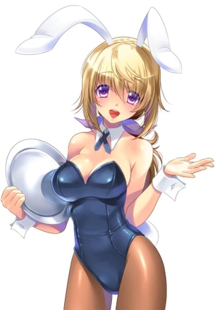 バニーガールのエロ画像詰め合わせ