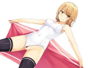 【俺ガイル】やはり俺の青春ラブコメはまちがっているの剥ぎコラなどエロ画像 その19